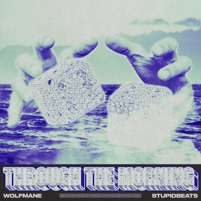 THROUGH THE MORNING (feat. sleepy6ixteen) - Single