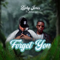 Forget you (feat. Jemax) - Single - Zephy Jones