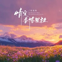 情定香格里拉 - Single - 刘旭阳