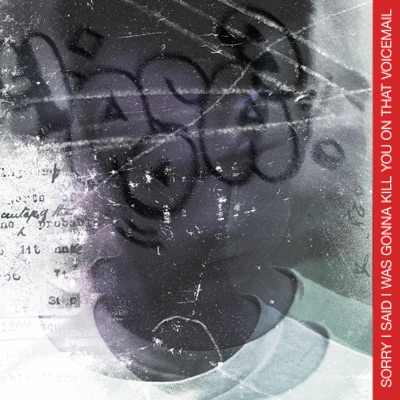 Sorry i said i was going to kill you on that voicemail - Single