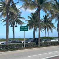 Grower (feat. C Guapo) - Single - GTM.Cam