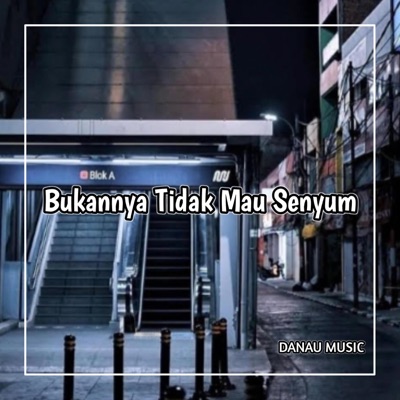 DANZZ MUSIC - Bukannya Tidak Mau Senyum Takutnya Nanti Kalo Aku Senyum Kamunya Jatuh Cinta X Damon Vacation
