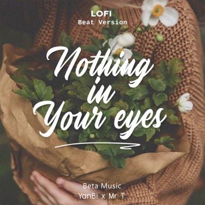 Nothing In Your Eyes (Lofi Beat) - Single