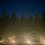 Forest Road - Single