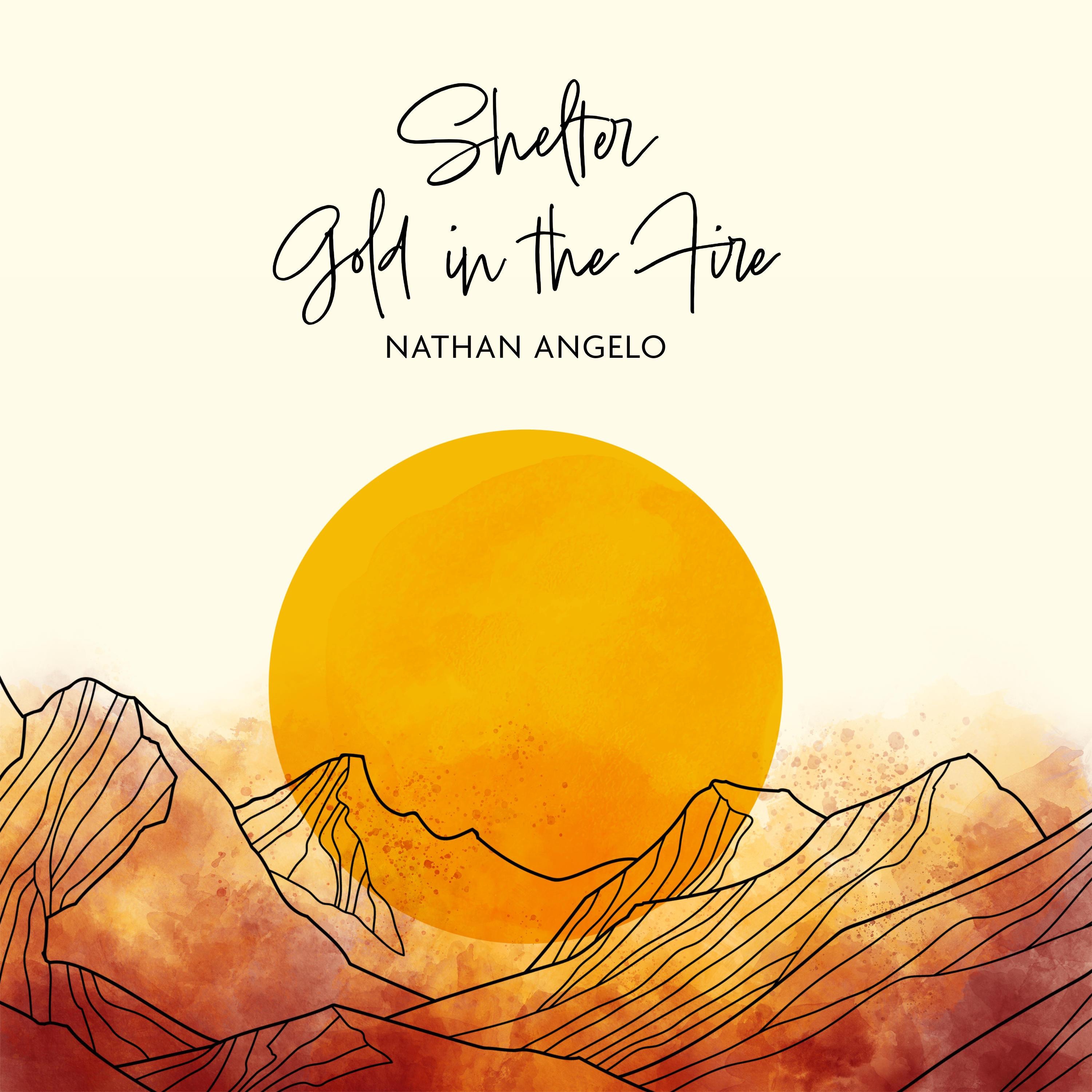 Shelter / Gold in the Fire - Single