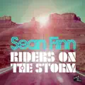 Riders On The Storm (Peter Gelderblom Remix)