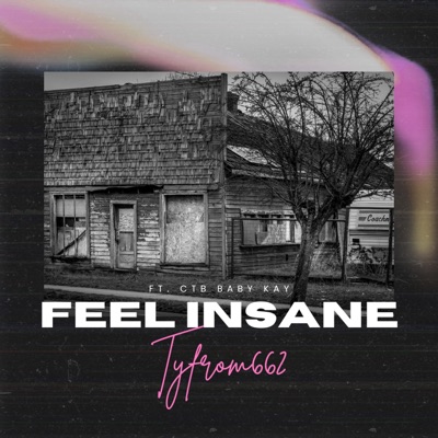 Feel Insane (feat. Tyfrom662) - Single