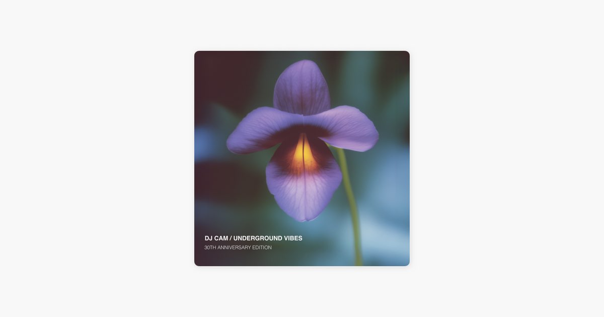 新品未開封 DJ Cam Underground Vibes 発売30周年限定盤 Underground Vibes 30Th Anniversary Edition (Remastered 2025