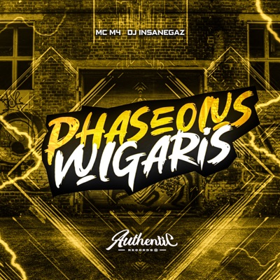Phaseolus Vulgaris - Single