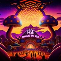 Free - Single - Raz, Henrique Camacho & Meis