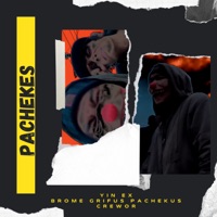 Pachekes - Single - Yin Ex, Brome Grifus Pachekus & Crewor Om