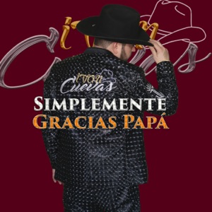 Simplemente Gracias Papá