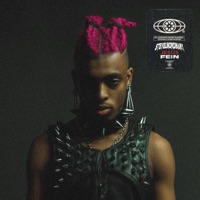 JESUS FEIN - Single - SteveUnordinary