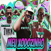Meu Xodozinho - Single - MC Di Magrin, MC Trovão & Mc Edu