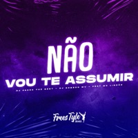 Não Vou Te Assumir (feat. MC Lindão) - Single - djpedrothebest, DJ Robson MV & FreesTyle Sounds