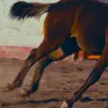 Viento Feroz
