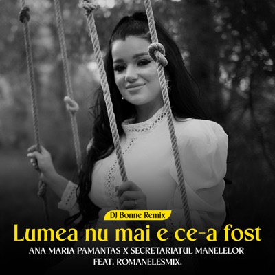 Lumea nu mai e ce-a fost (feat. RoMANELEsMIX) [DJ Bonne Remix] - Single