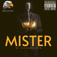 MISTER (feat. QC & 553DAME) - Single - Koco