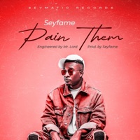 Pain Them - Single - Seyfame