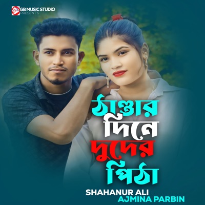 Thandar Dine Duder Pitha - Single