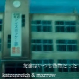 friends were always fake (remix) katzenreich & mxrrow