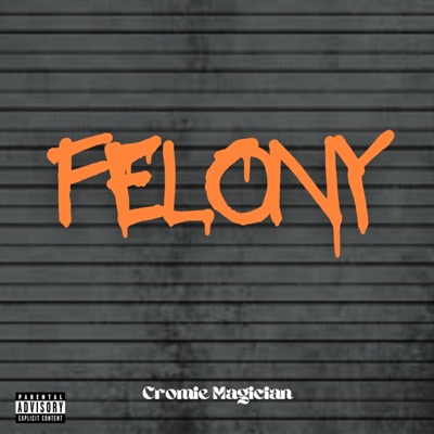 Felony - Single