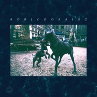 Soul Crossing (feat. Catholique)