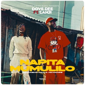 Napita Mumulilo (feat. Lanji) - Single