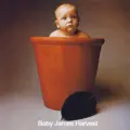 Medicine Man [Single Version]
