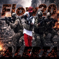 Alerta - Single - Flow 20