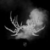 The Void - EP