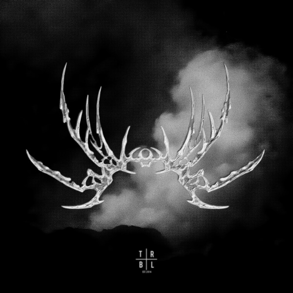 The Void - EP