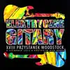 Elektryczne Gitary - Człowiek z Liściem