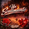 Un Sentimiento