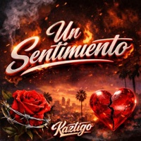 Un Sentimiento