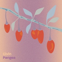 Pangea - Single - Civin
