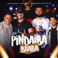 Pindaiba Braba (Ao Vivo) - Single - Gustavo e Luciano & Augusto & Atílio