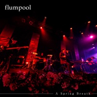 Kimi Ni Todoke (A Spring Breath ver.) - Single - flumpool