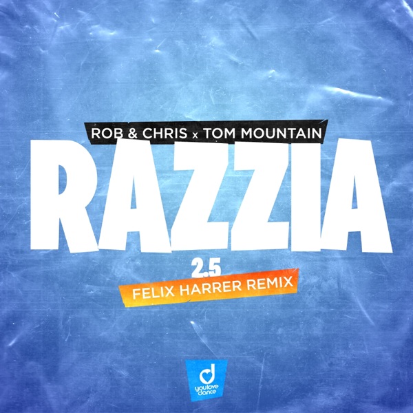 Razzia 2.5 (Felix Harrer Remix) - Single