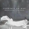 Arnaldo Antunes & Vitor Araújo - Fim de Festa