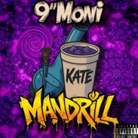 MANDRILL (feat. Ctrl F1) - Single - 9