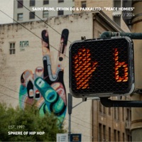 Peace Homies - Single - saint rumi, Erwin Do & Paxkalito