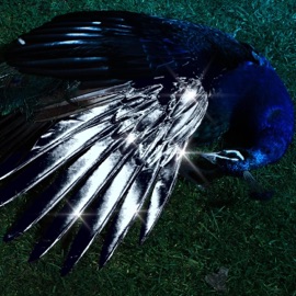 THESSALONIQUE (feat. Book & Slow21) Stoyan