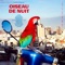 Pur Sentiment (feat. VioleTT Pi) - Antoine Corriveau lyrics