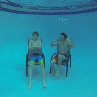 bread - Single - sprinkles