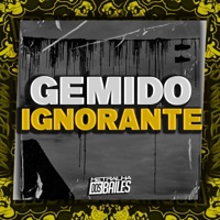 Gemido Ignorante - Single - Mc Pelé Da V.A & DJ AMANDA ZO