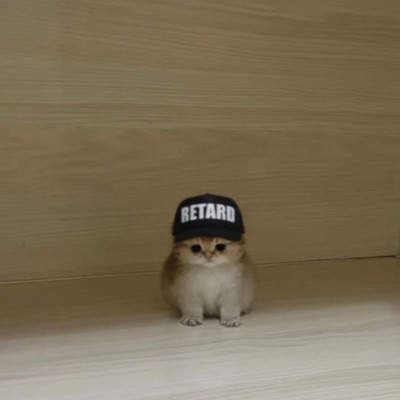 crossing (feat. Baby Bonnie) - Single