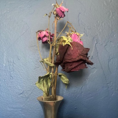 Roses - Single