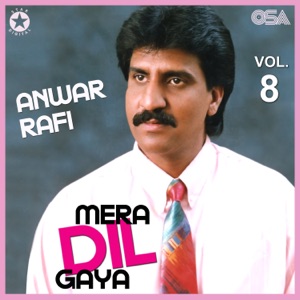 Mera Dil Gaya, Vol. 8
