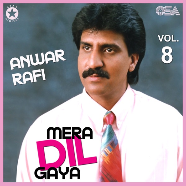 Mera Dil Gaya, Vol. 8